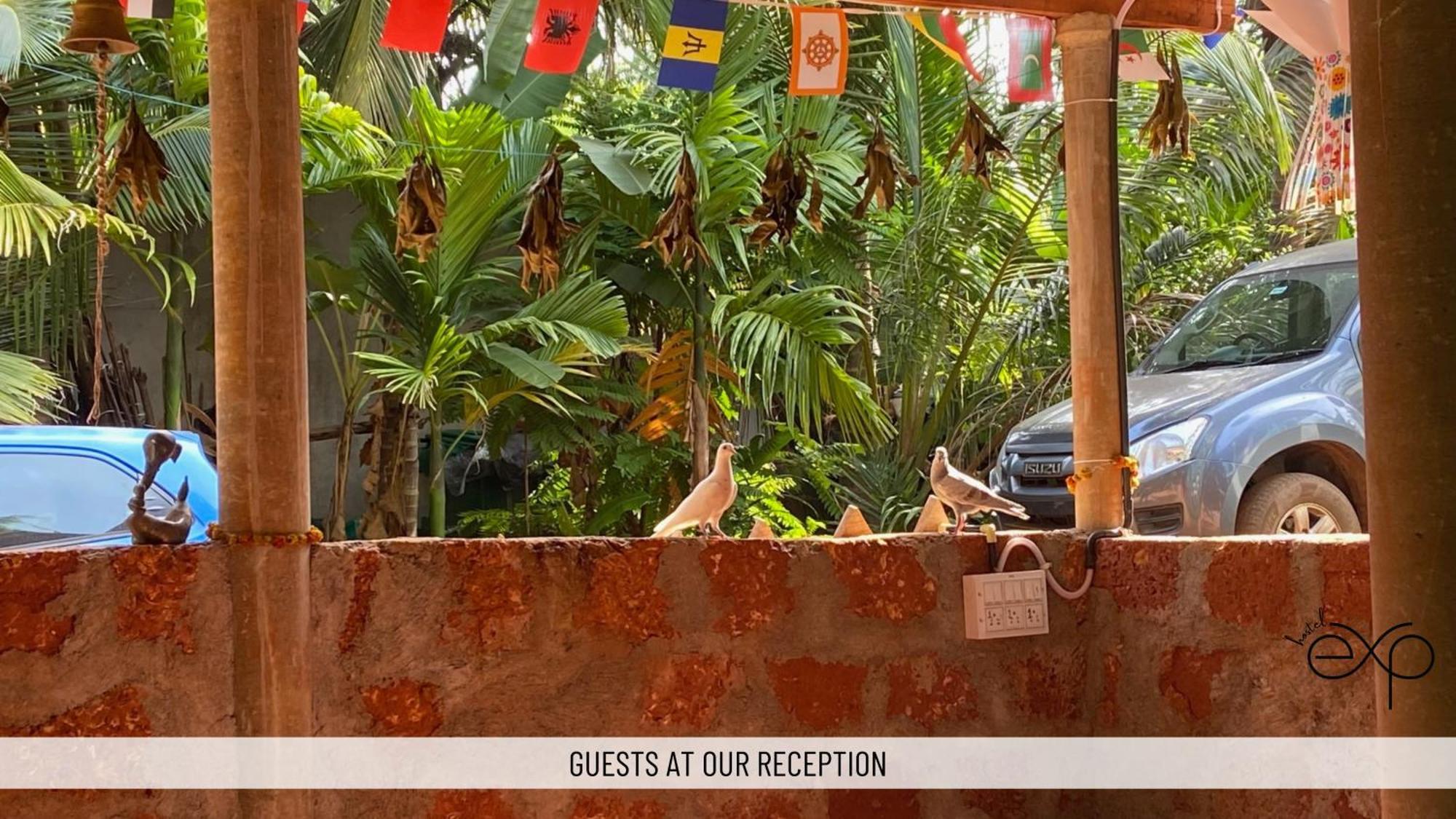 Hostelexp, Gokarna - A Slow-Paced Backpackers Community Exterior foto