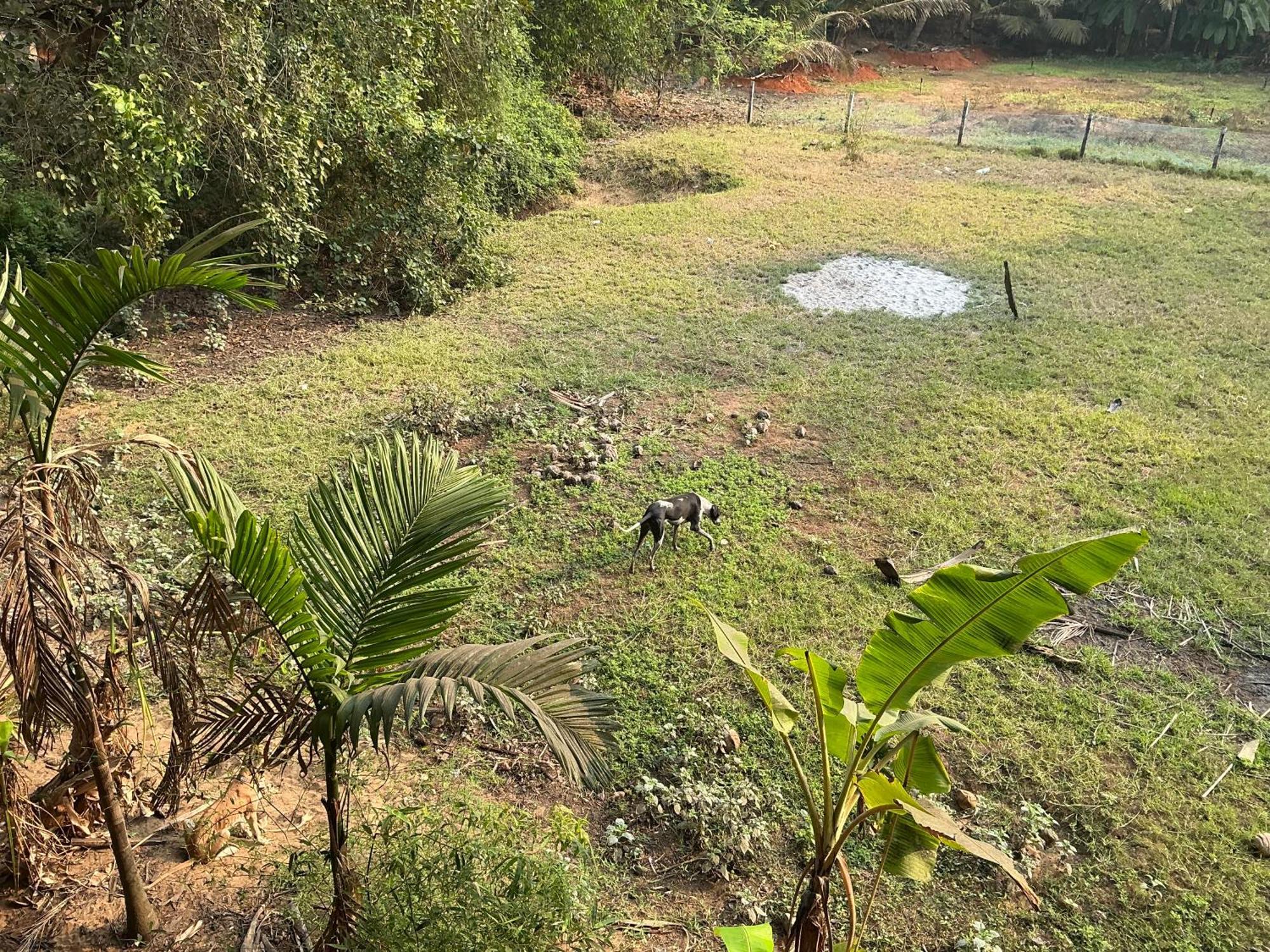 Hostelexp, Gokarna - A Slow-Paced Backpackers Community Exterior foto